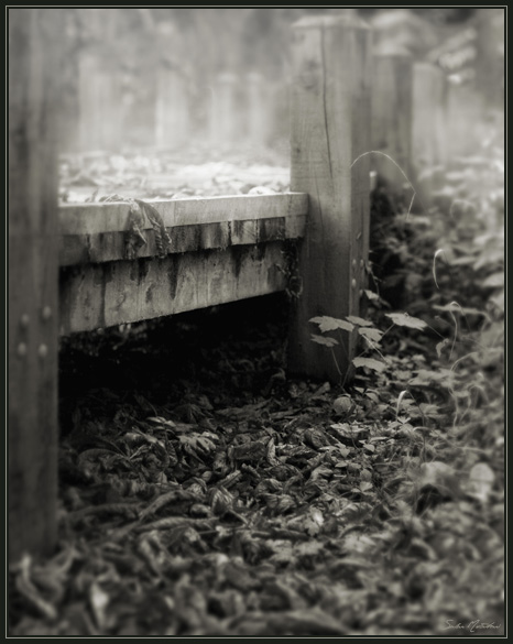 DP Blog